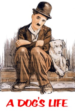 Vida de Cachorro Torrent